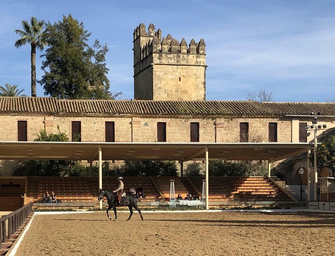 El Mirador De La Mezquita-catedral * Córdoba