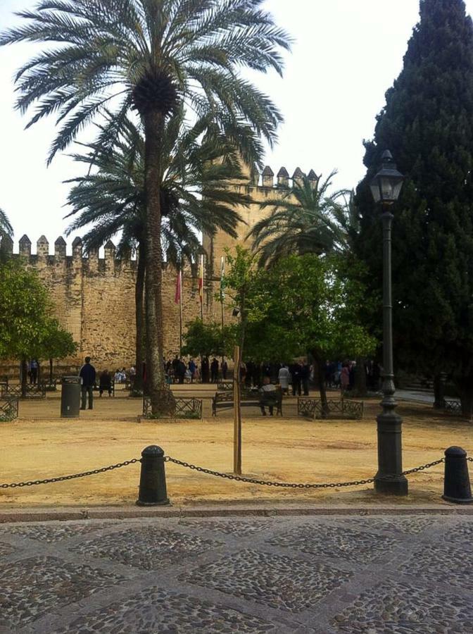 El Mirador De La Mezquita-catedral *