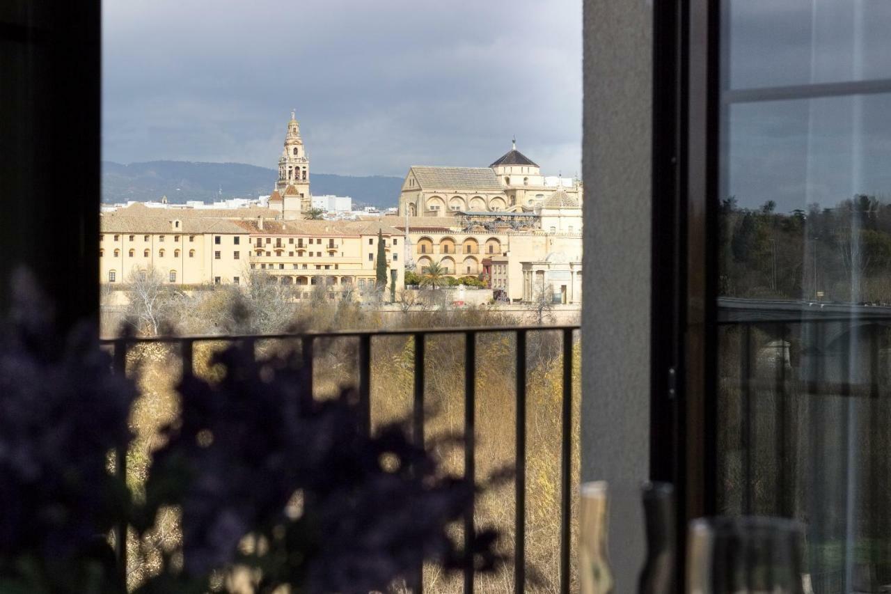 El Mirador De La Mezquita-catedral